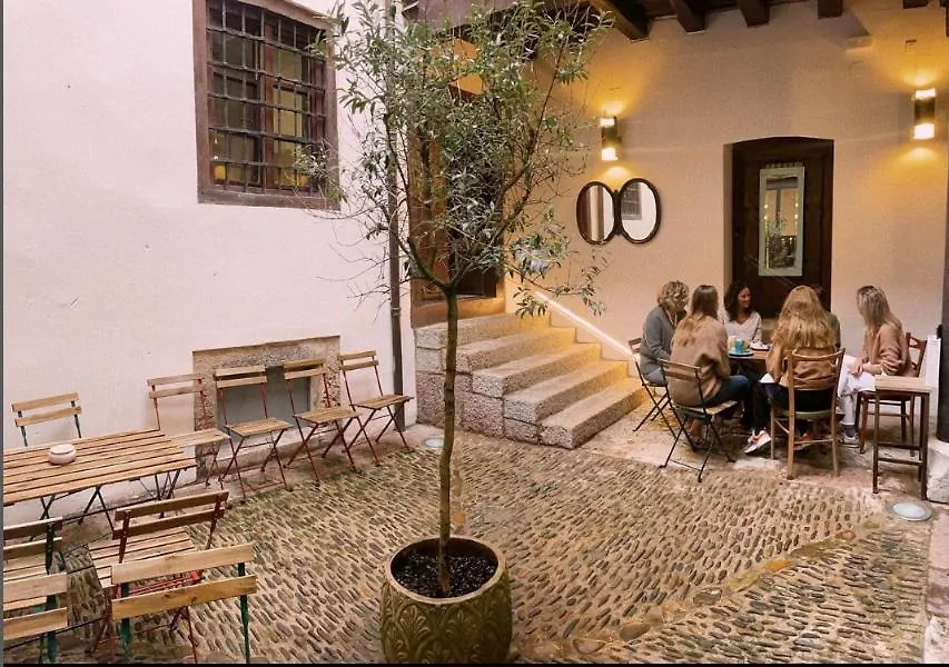 15 Hoteles y Albergues Baratos en León que Realmente Valen la Pena
