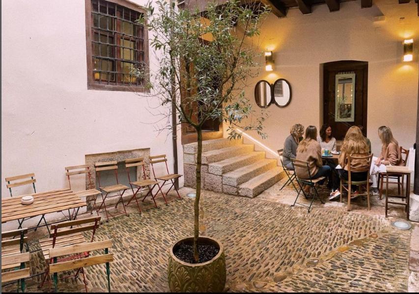 15 Hoteles y Albergues Baratos en León que Realmente Valen la Pena